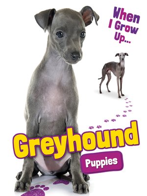 cover image of Greyhound Puppies